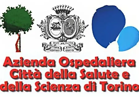 Top Class Zona Lingotto Fiere Ospedali Per Settimane Mesi Apartment Turin